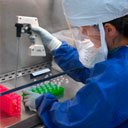 Commitment with ethical-regulatory environments related to research and development of Antibodies and Peptides.